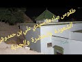 طقوس غريبة وصادمة بسيدي علي بن حمدوش الشعودة الحضرة الجدبة