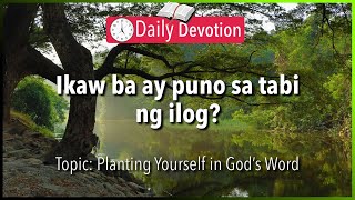 May 3 Psalm 113  Tree By The River  365 Bible Verses Everyone Should Know