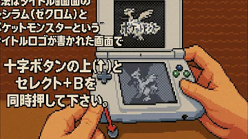 ポケモンセーブデータ