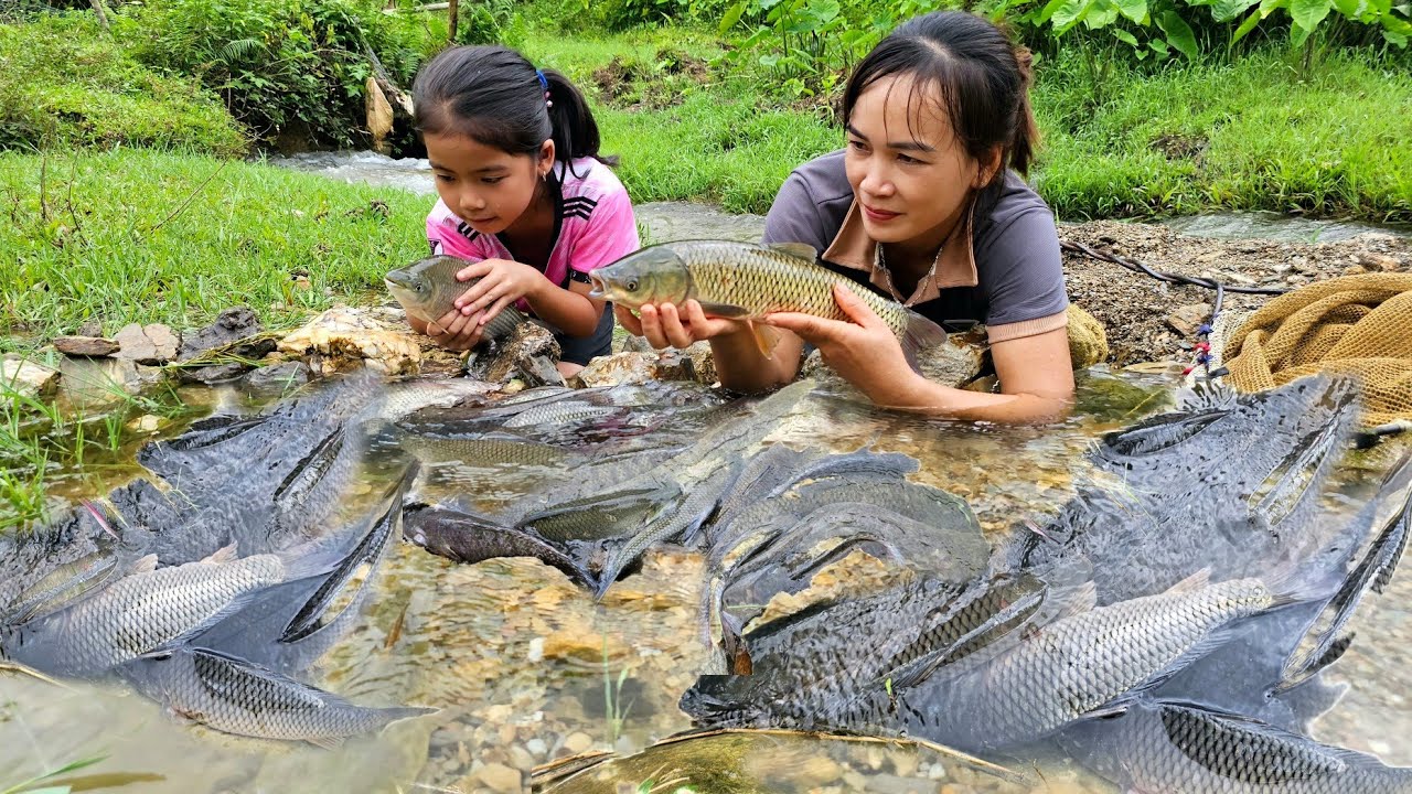 Mother and daughter go to the stream and accidentally catch a school of ...