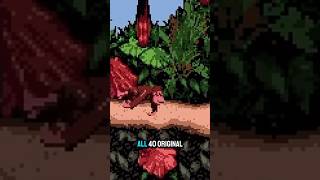 Donkey Kong Country For Gbc