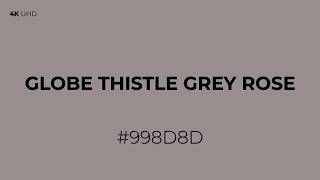 Globe Thistle Grey Rose Screen - Premium Precision Color Tool - (#998D8D) - RGB(153, 141, 141)