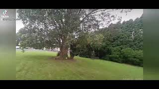 4K Headcam Ordro Ep7