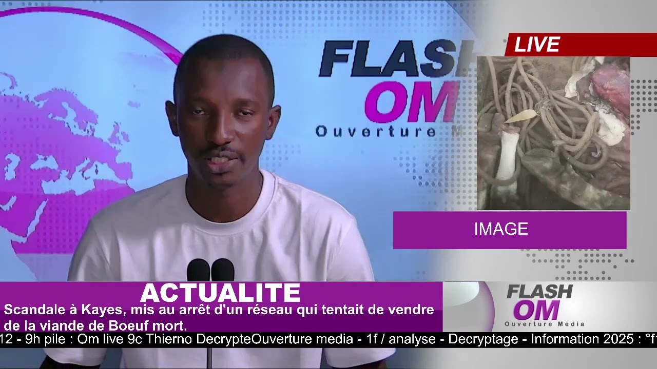 FLASH-INFOS: Scandale à Kayes mis au arrêt d'un réseau.