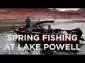 Spring fishing and new lund boat unveiled at lake powell