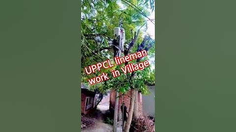 #UPPCL lineman work in Village #uppcl #uppclexam #uprvunl #examdate#result #je #motivation