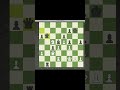 Тактический штурм #shorts #chess #chessgame #chesscom #checkmate #chesstactics #chesspuzzle #шахматы