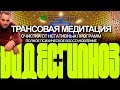 А. Ракицкий. Трансовая медитация. Очистка от негативных программ. Полное психическое восстановление.