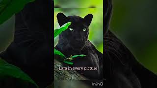 my Lara~🌚✨🌷|| by : me , @Asthetic_vibee || #viral #trending #lararaj #katseye #blackpanther #biasb