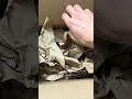 Cardboard Scratching + Packing Paper Crinkling ASMR #lofiasmr #scratch #relaxing #texture