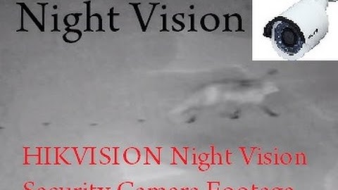 Fox - Night Vision Footage HIKVISION 3MP PoE IP DS-2CD2032-I Security Camera