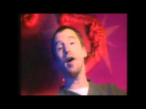 History (The Beat 1995)