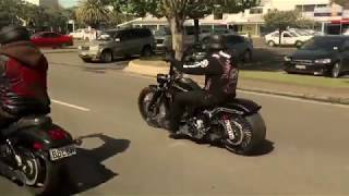 MONGREL MOB KINGDOM @hicktownguy2