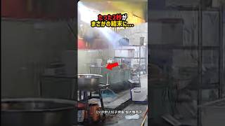 野良猫の恩返し?