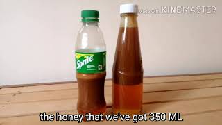 Stingless Beetransfer Sb Feral To A New Hivelukotan, Lukot, Kiwot