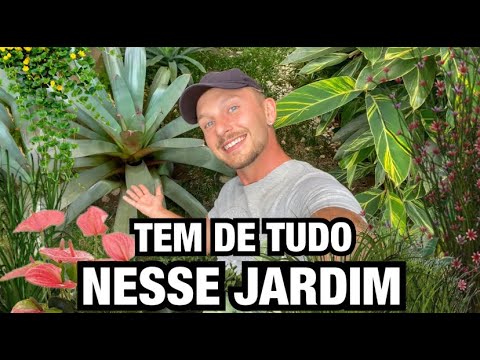 TEM DE TUDO NESSE JARDIM | Henrique Buttler