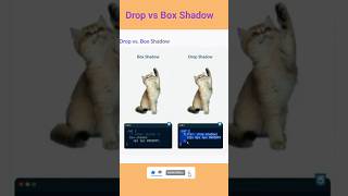 🌟 Drop Shadow vs. Box Shadow 🆚 | Which One to Use 🔥🎨||#shorts #shortvideo #ai #fyp #video #memes