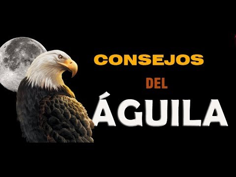 Top 65+ imagen consejo del aguila