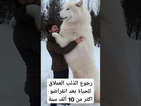 The Most Dangerous Scientific Experiment In History Succeeds 