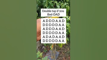 Double tap if you find-DAD #search #puzzle #shorts