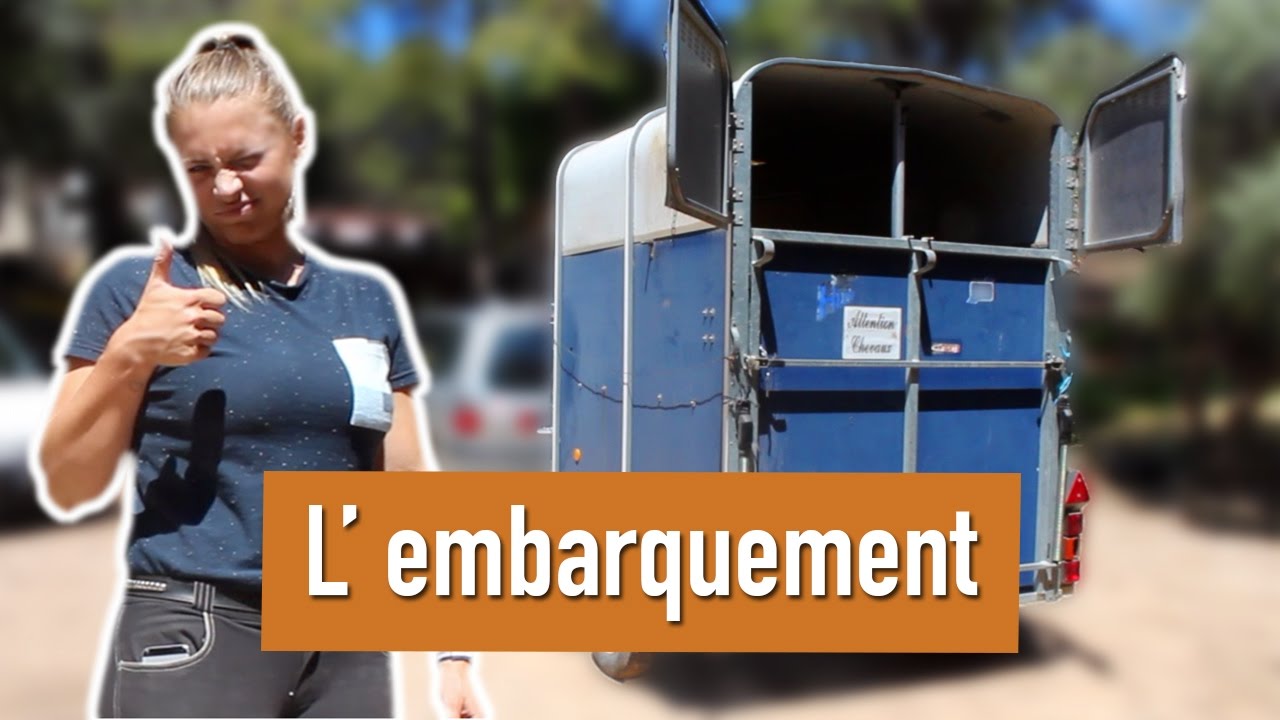 van pour chevaux a donner