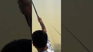 IMG 7890 #fishing #rivercrab #fish  #lifestyle