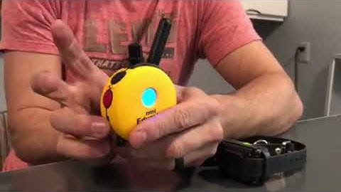 Adding an extra receiver to your Mini Educator