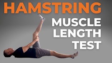 Test Your Hamstring Length (MOVEMENT OF THE DAY)