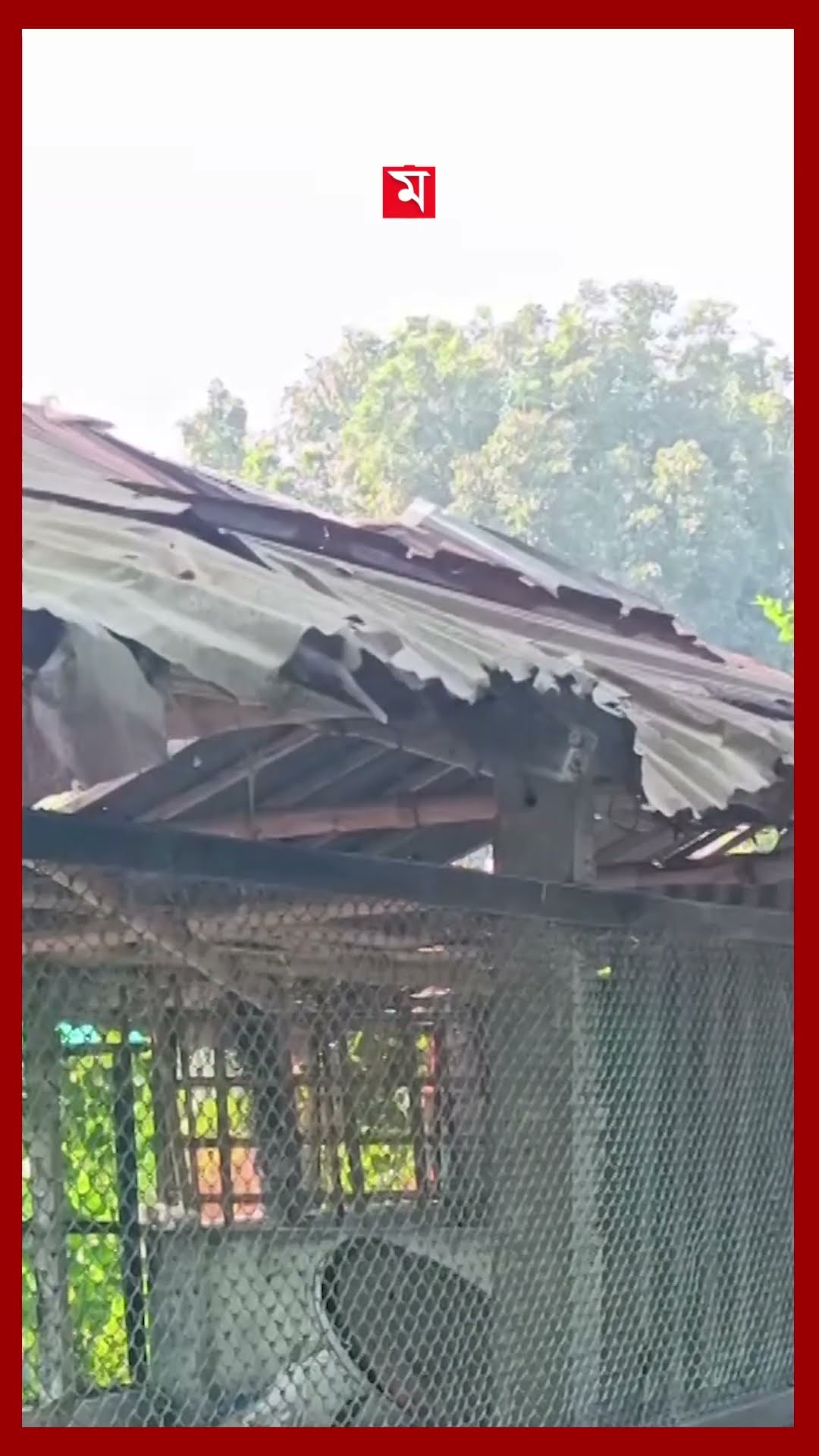 আ. লীগের রোষানলে পড়ে দেশছাড়া, খামারবাড়ি পরিত্যক্ত #jhenaidah #poultryfarming #shorts #somoytv