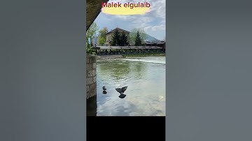 #القارئ مالك القليب تلاوة هادئة رائعة لسورة القيامة و الإنسان و المرسلات