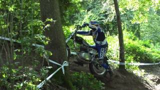 00646Walti