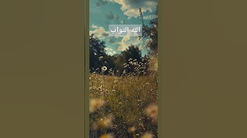 القرآن الكريم/ تلاوة خاشعة/ ترتيل / التوبة #المصحف #quran #الرحمن #القرآن_الكريم #راحة_نفسية