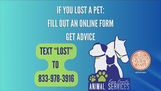 Turning heartbreak into hope: Animal shelters trying to help owners reunite with their lost pets | 1