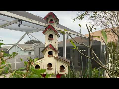 1320 Alexander Way, Clearwater, FL home video tour