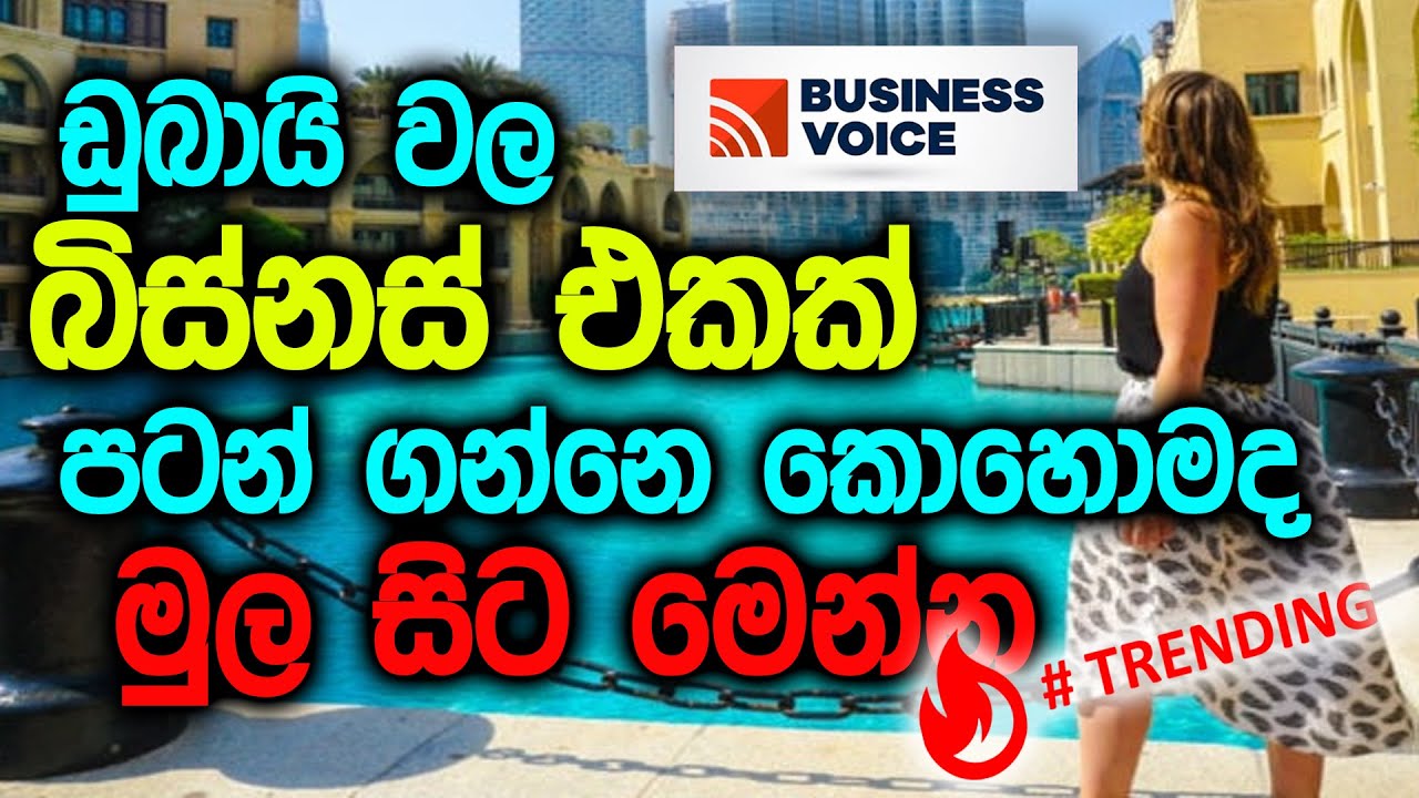 How to start a business in Dubai | Sinhala | ඩුබායි වල බිස්නස් පටන්ගන්න හරිම විදිහ