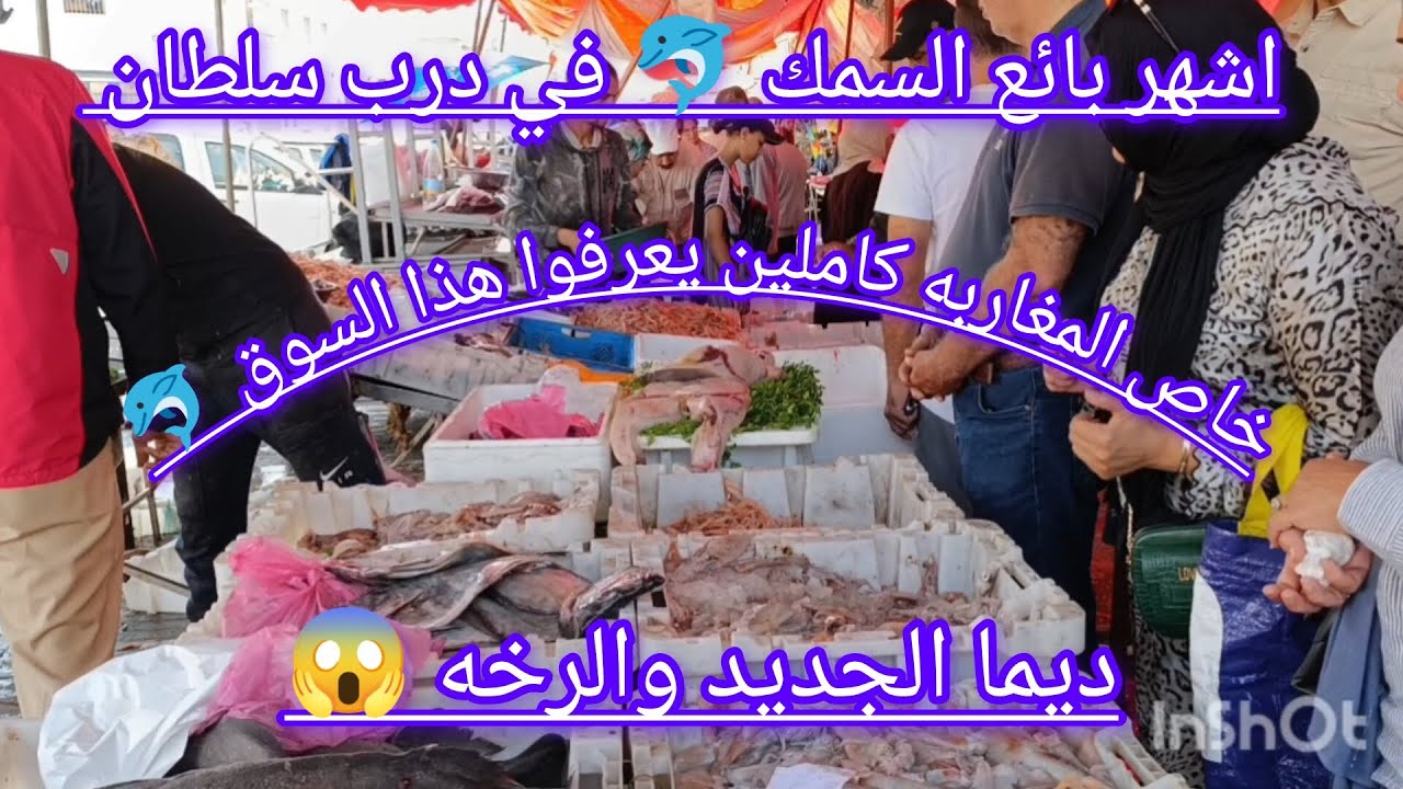 اشهر مول حوت في درب السلطان😳 ديما الجديد وجميع انواع الحوت 🐬 من 20 درهم كلشي غادي ياكل ✌️