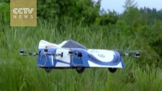 why do birds fly into cars 10