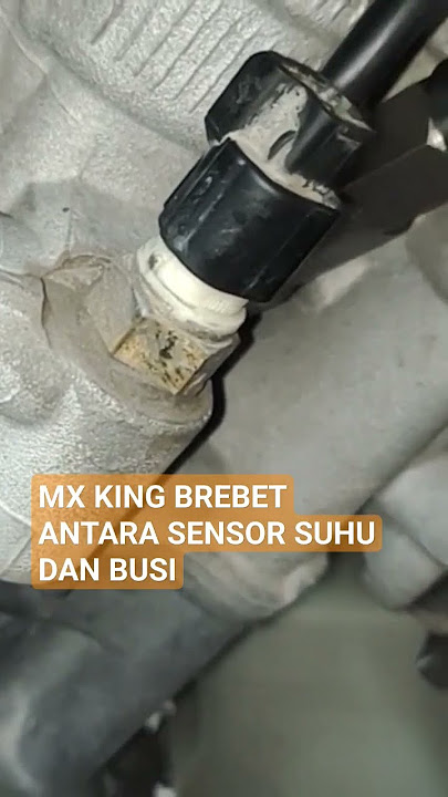 mx king brebet suhu rendah
