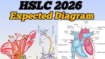 HSLC 2026 Science |Top Important Diagram for final exam |Expected science question|