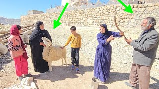Grandma's attempt to take Grandpa's ewe to sell and fix her teeth, amidst Ruqayya's mediation