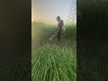 Heavy Cutter Machine 💪 #grasscutter #farmwork #shorts #viral
