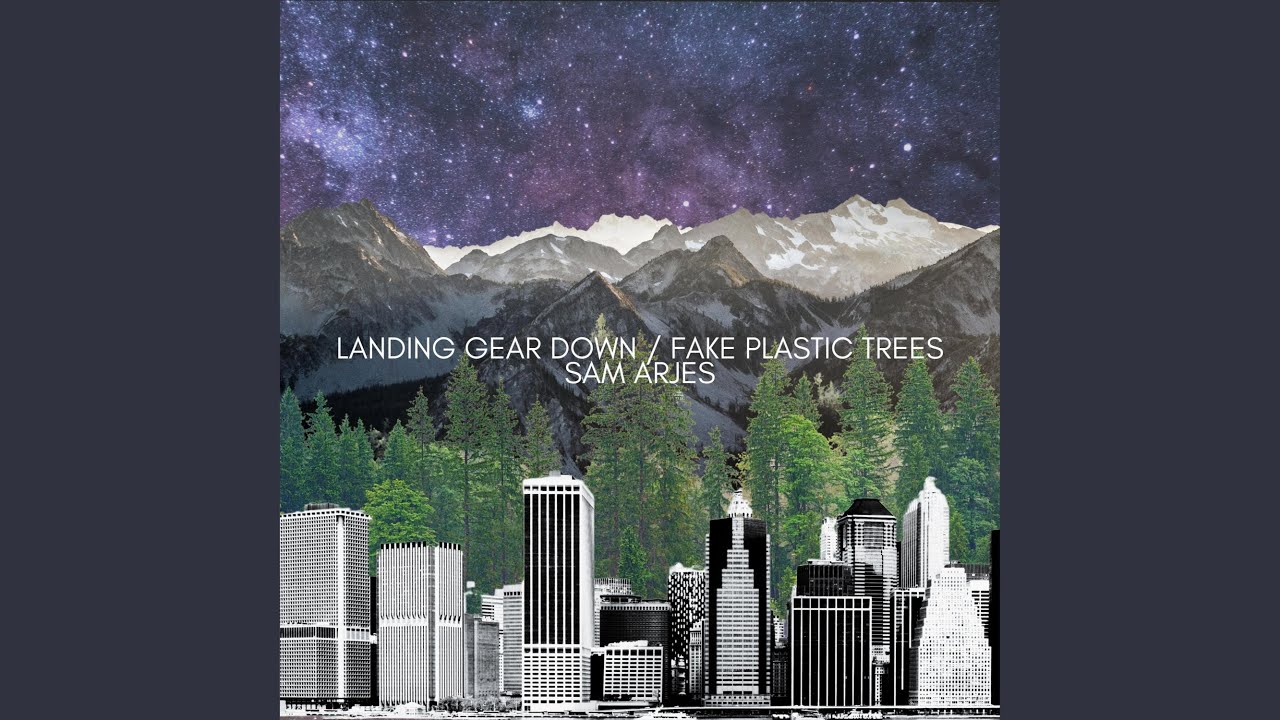 Fake Plastic Trees YouTube