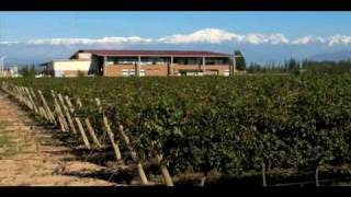BODEGA TAPIZ Guide
