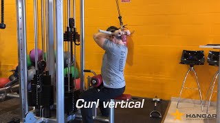 Curl vertical