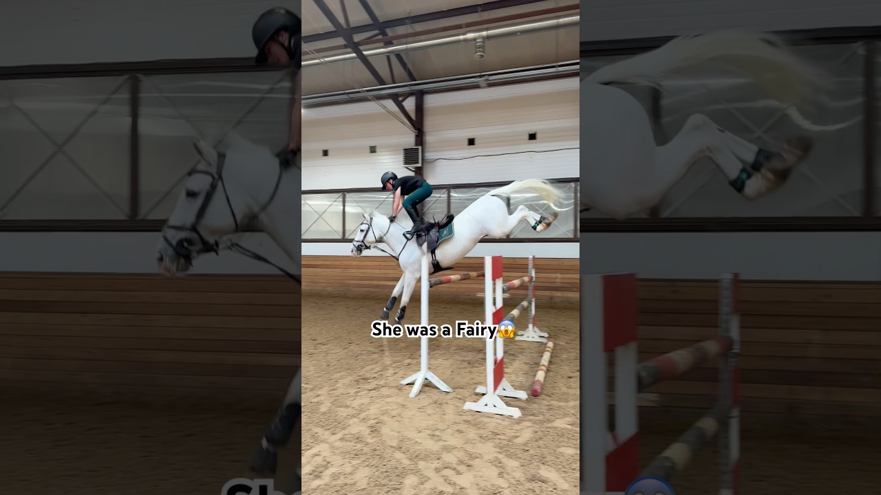 She was a fairy ctto:rostova 