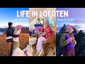 My Life in Lofoten (as autumn turns to winter) //  Ep. 8