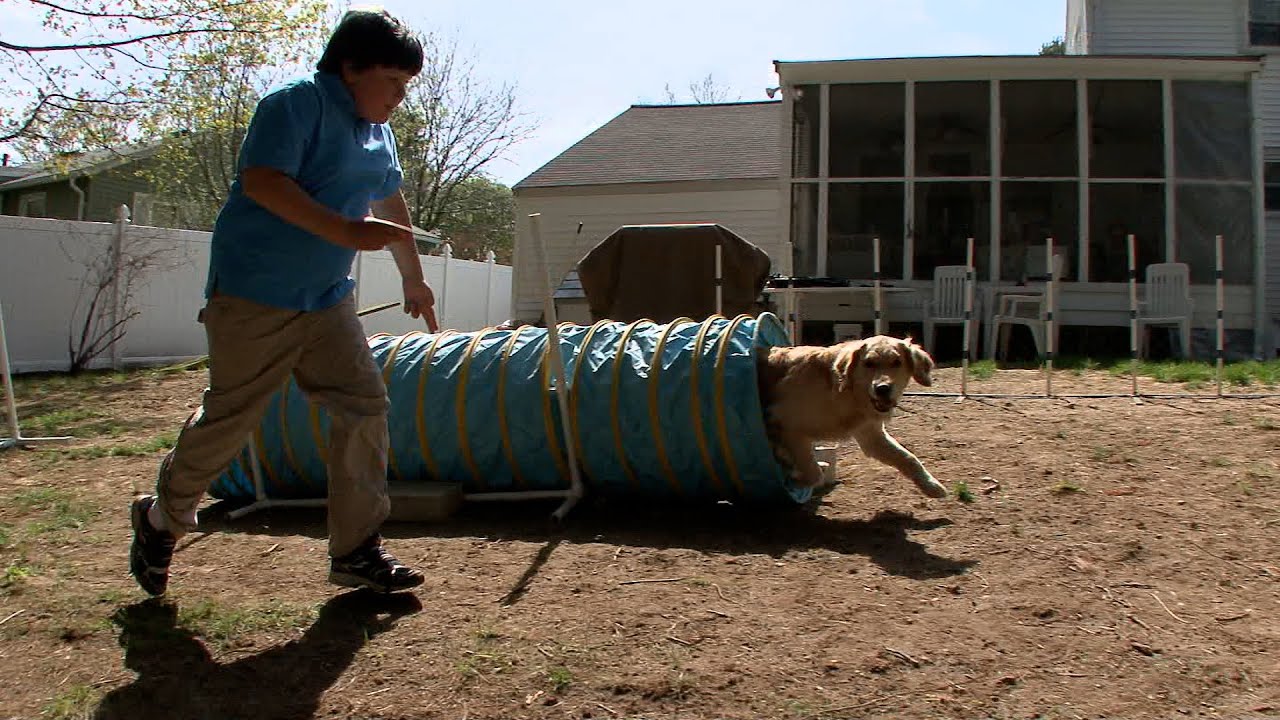 Who's That Dog? – CAMEO