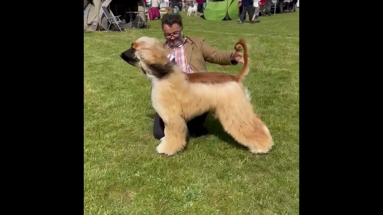 Du Troisieme Jour Uzziel De Shante Et Sovereign