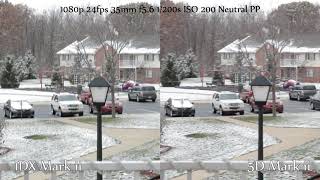 Canon 1Dx Mark Ii Vs 5D Mark Ii Daytime 1080P And 4K