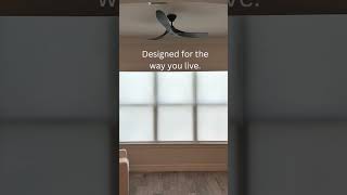 The Home Upgrade You Didn't Know You Needed | Custom Window Treatments Palm Beach, FL